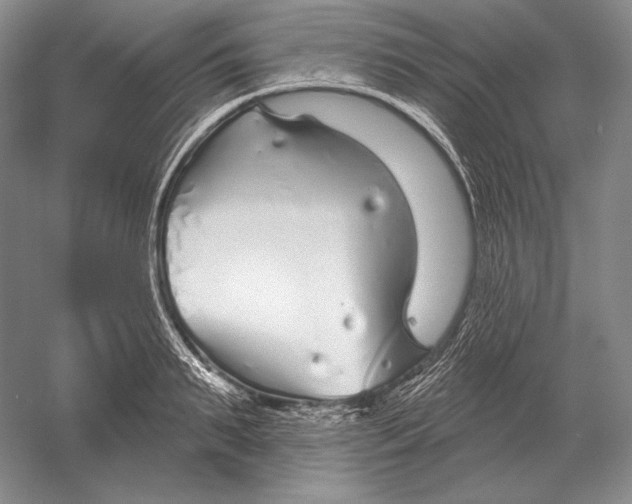 X0000052980895200508051038