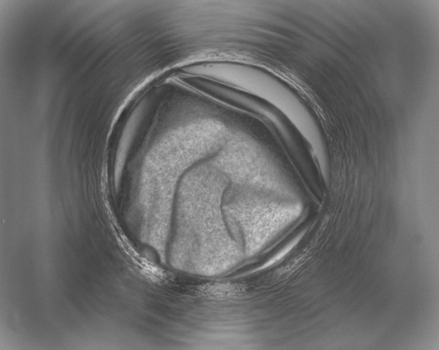 X0000052980896200508051038