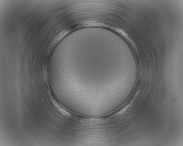 X0000052980897200508051038