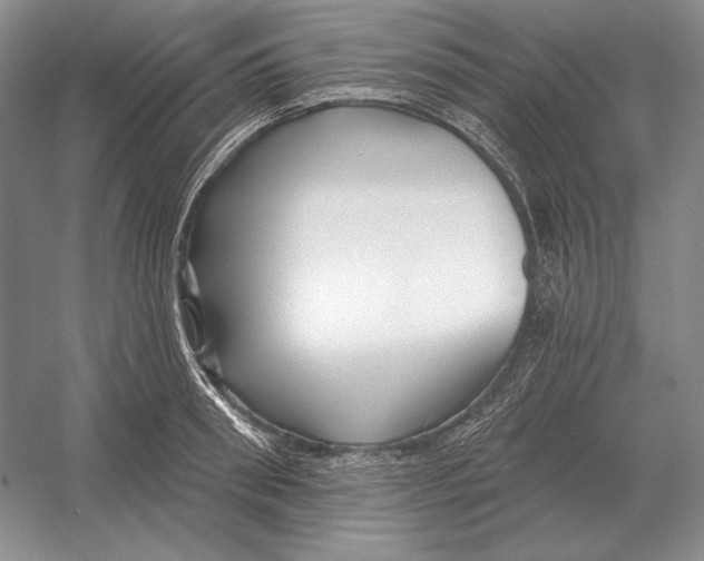 X0000052980898200508051038