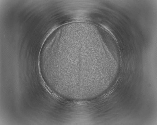 X0000052980899200508051038