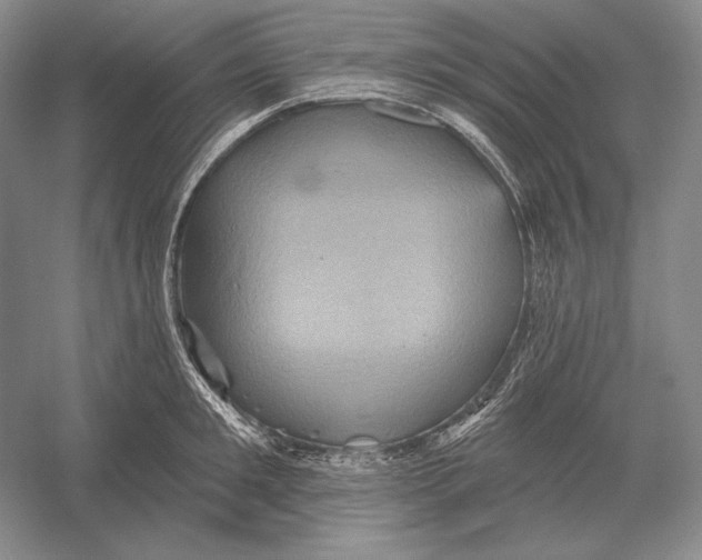 X0000052980901200508051038