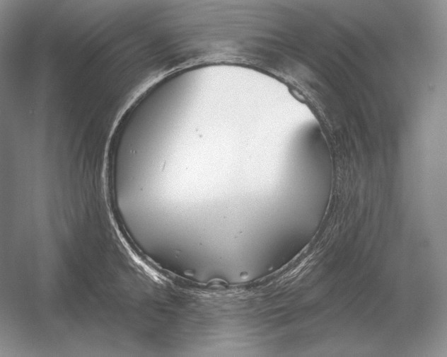 X0000052980902200508051038