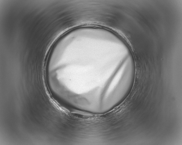 X0000052980903200508051038