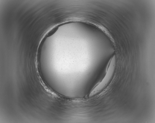 X0000052980904200508051038