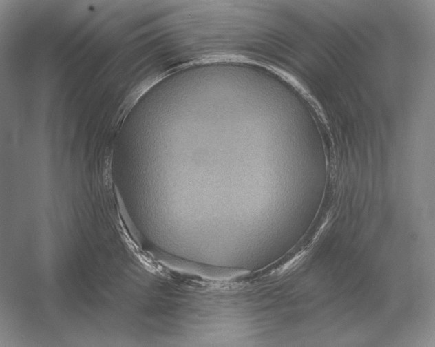 X0000052980905200508051038