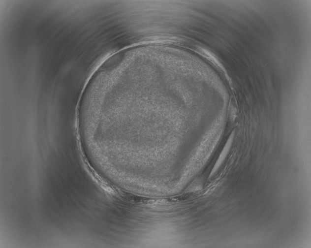 X0000052980907200508051038