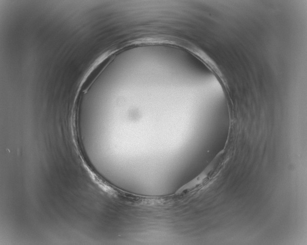 X0000052980909200508051037