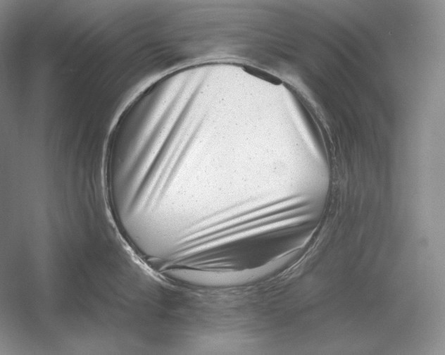 X0000052980910200508051037