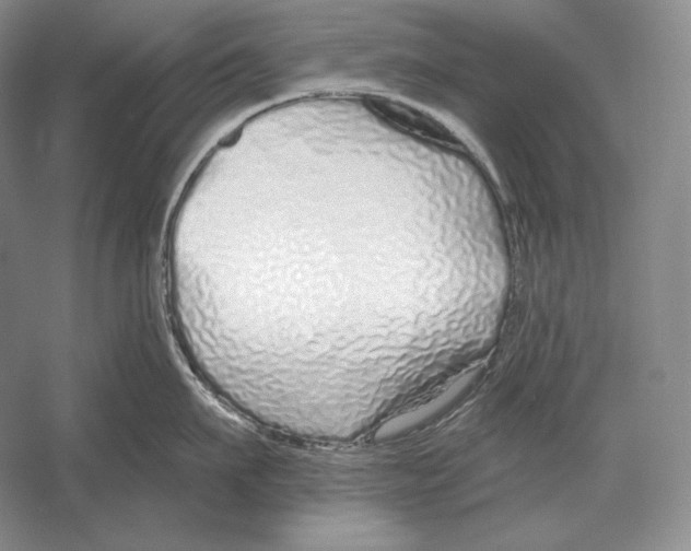 X0000052980911200508051037