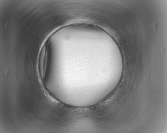 X0000052980912200508051037