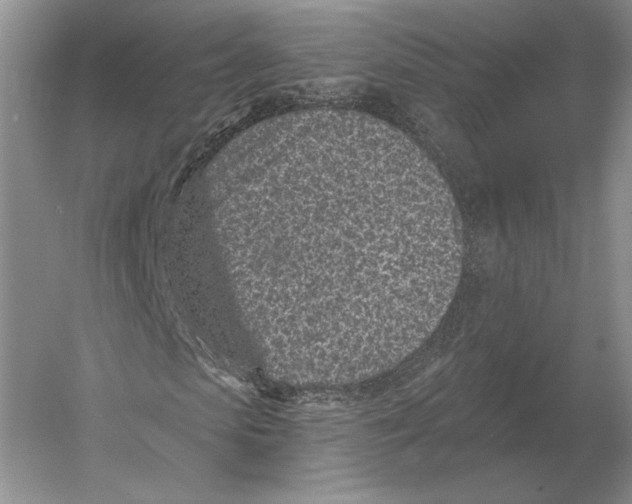 X0000052980913200508051037