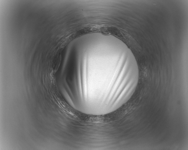 X0000052980914200508051037