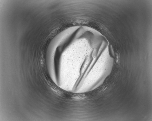 X0000052980915200508051037