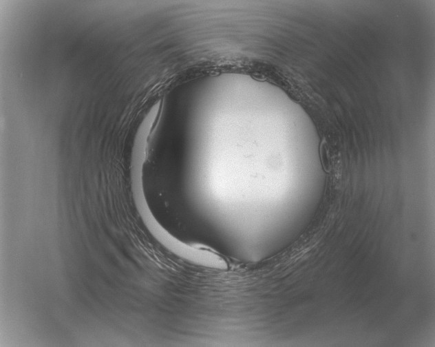 X0000052980916200508051037