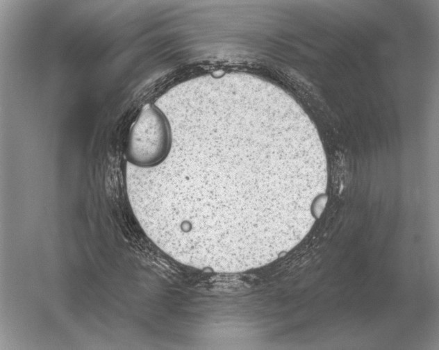 X0000052980918200508051037