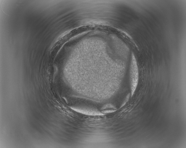 X0000052980919200508051037