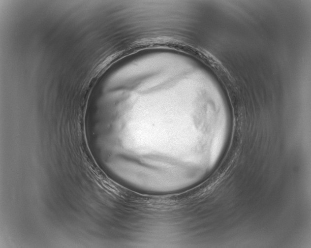 X0000052980921200508051037