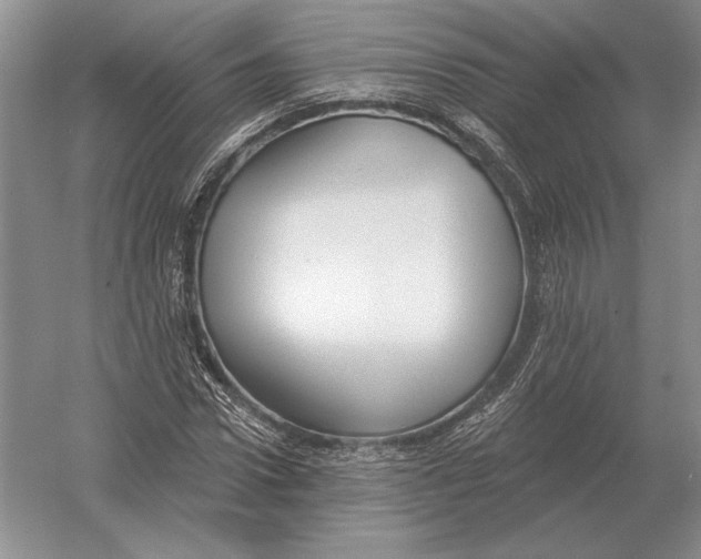 X0000052980922200508051037