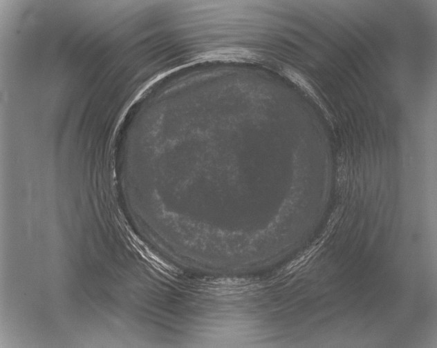 X0000052980923200508051037