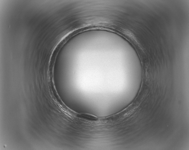 X0000052980924200508051037