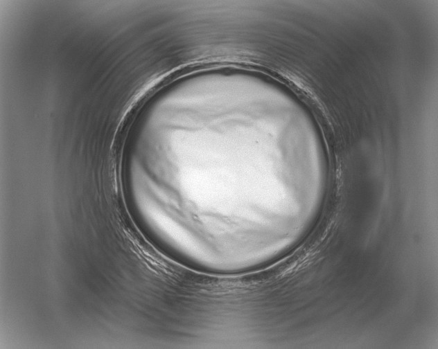 X0000052980925200508051037