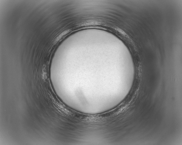 X0000052980929200508051037