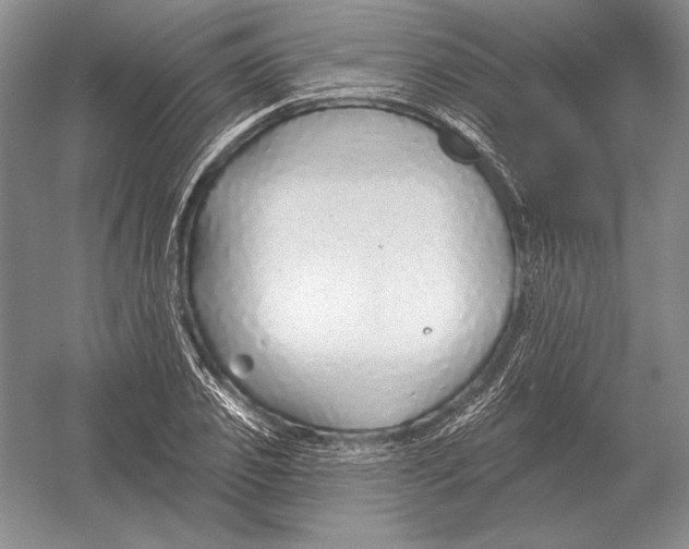 X0000052980933200508051037