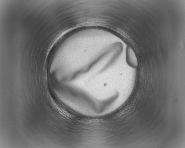 X0000052980934200508051037