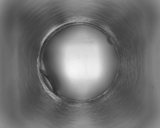 X0000052980936200508051037