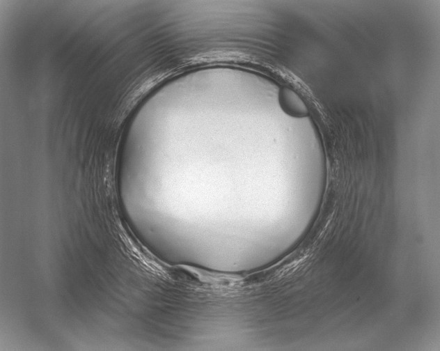 X0000052980937200508051037