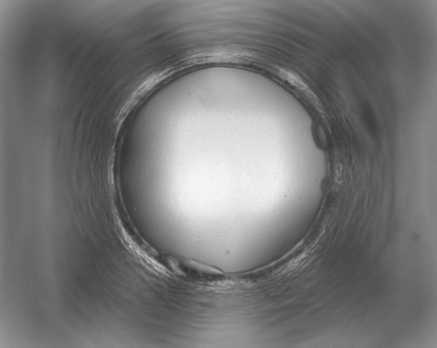 X0000052980938200508051037