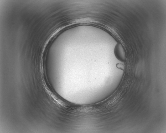 X0000052980939200508051037