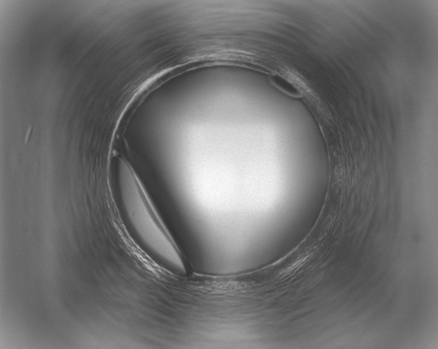 X0000052980940200508051037