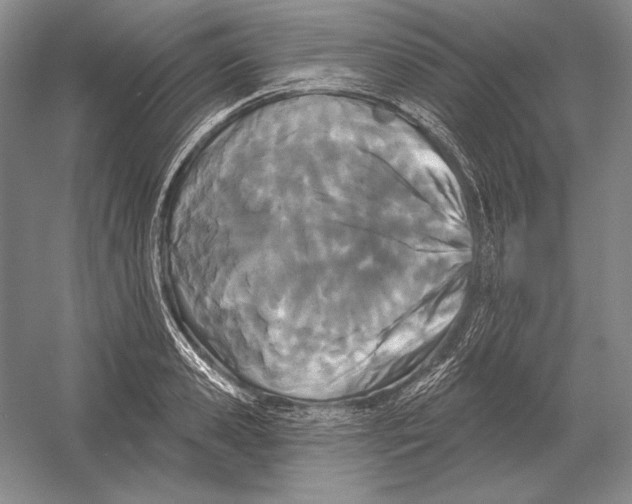 X0000052980941200508051037