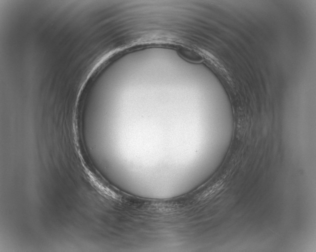 X0000052980942200508051037