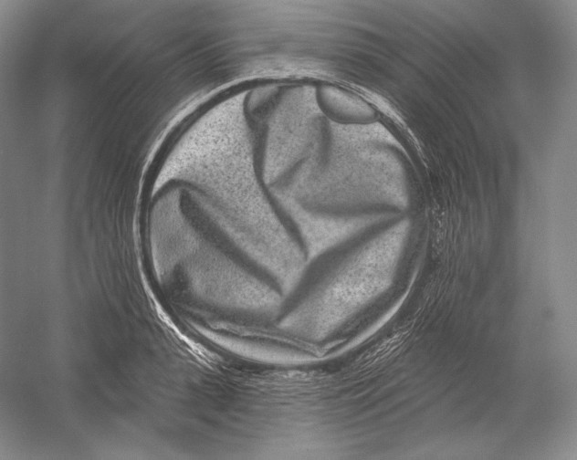 X0000052980943200508051037