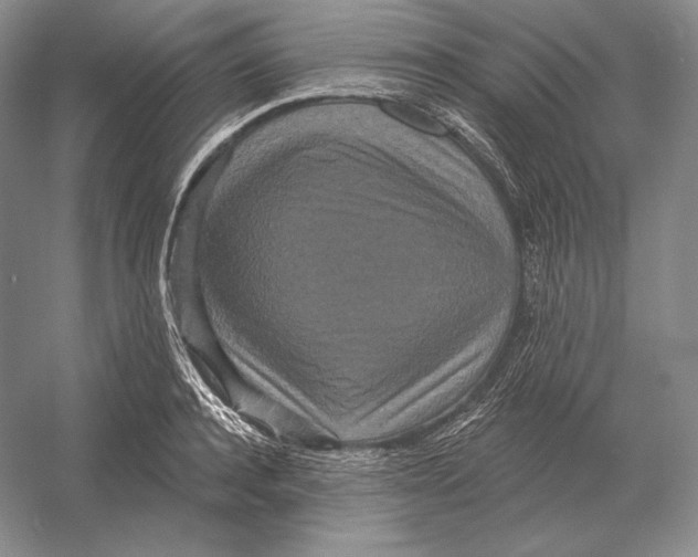 X0000052980944200508051037