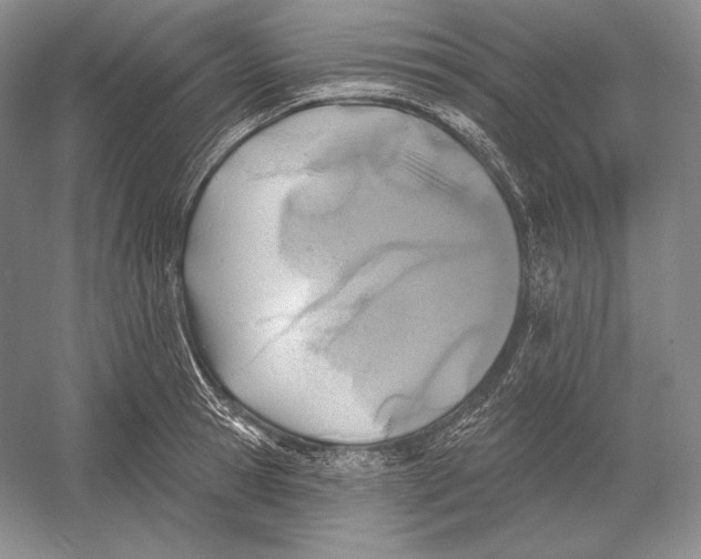 X0000052980945200508051037