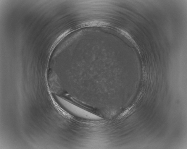 X0000052980946200508051037