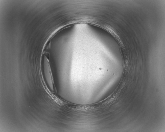 X0000052980948200508051037