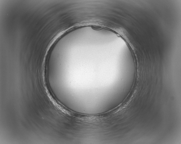 X0000052980949200508051037