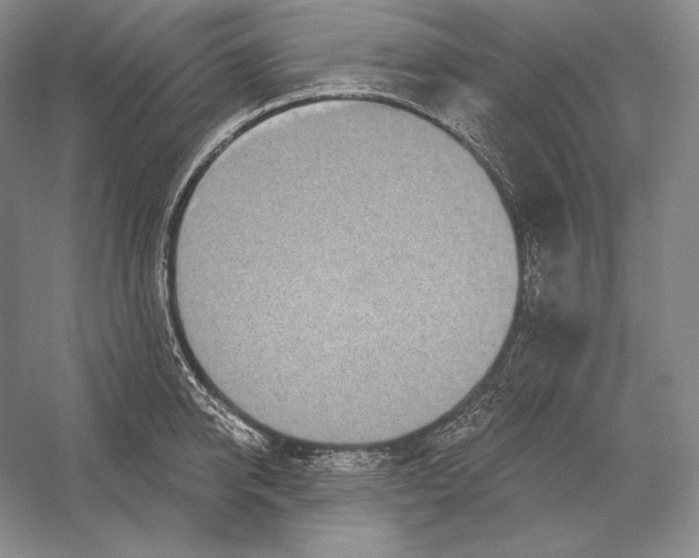 X0000052980950200508051037