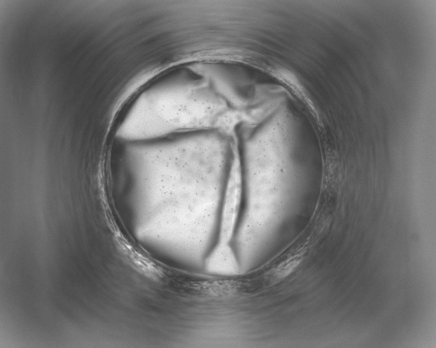 X0000052980952200508051037