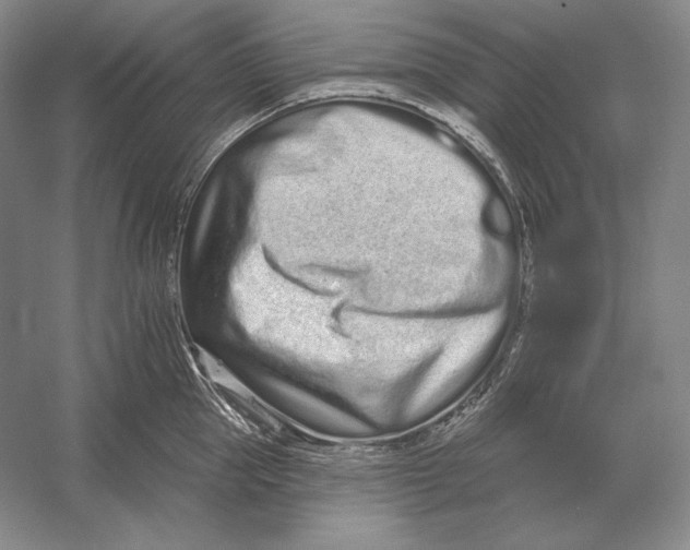 X0000052980953200508051037