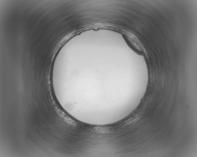 X0000052980954200508051037