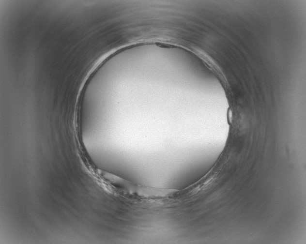 X0000052980956200508051037