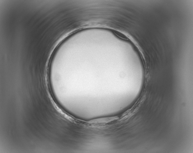 X0000052980957200508051037