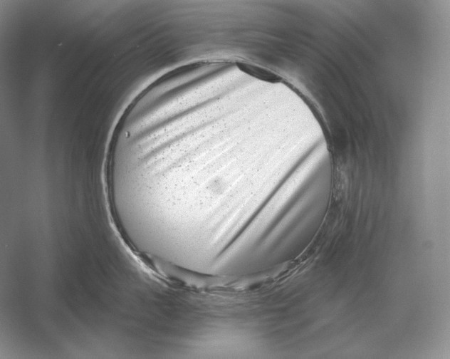 X0000052980959200508051037