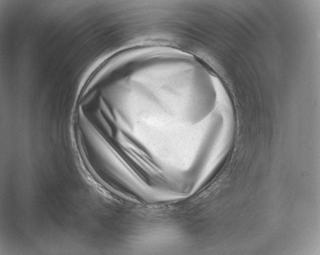 X0000052980960200508051037